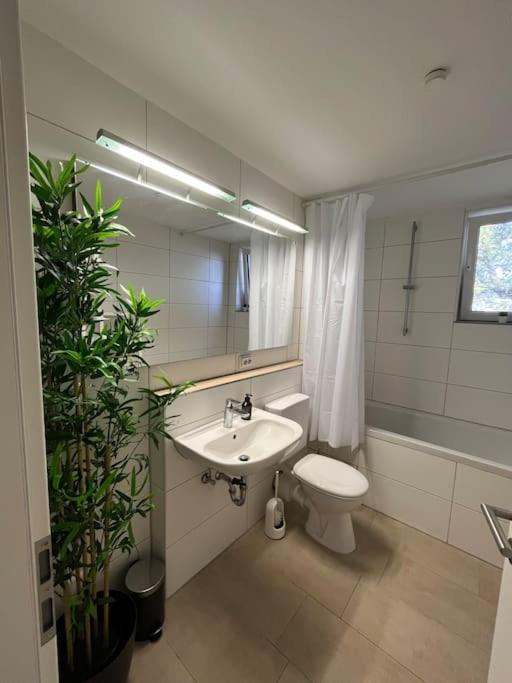 City Appartement Direkt Am Schloss! Karlsruhe Eksteriør bilde