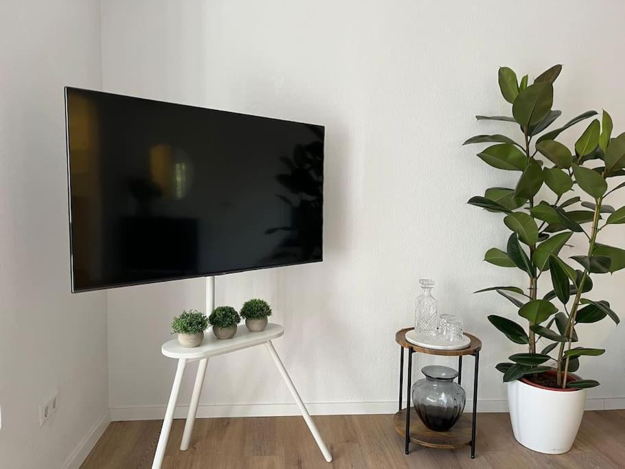 City Appartement Direkt Am Schloss! Karlsruhe Eksteriør bilde
