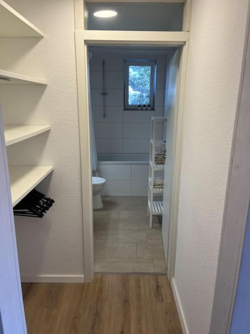 City Appartement Direkt Am Schloss! Karlsruhe Eksteriør bilde
